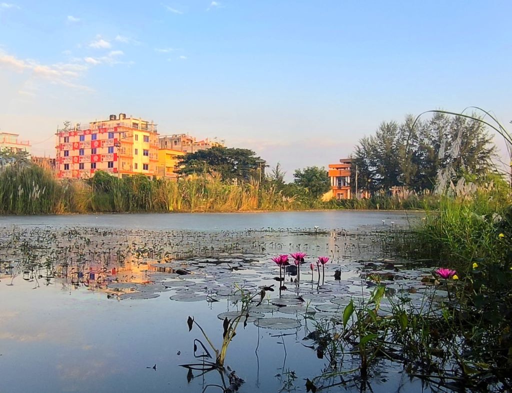 ক্যাম্পাস